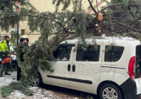 sinop-ta-agac-park-halindeki-aracin-uzerine-devrildi