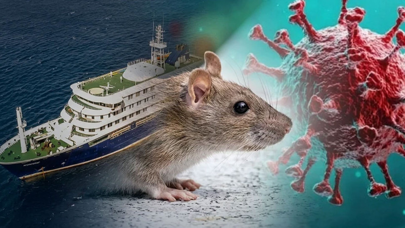ab-den-hantavirus-uyarisi-risk-dusuk-seviyede