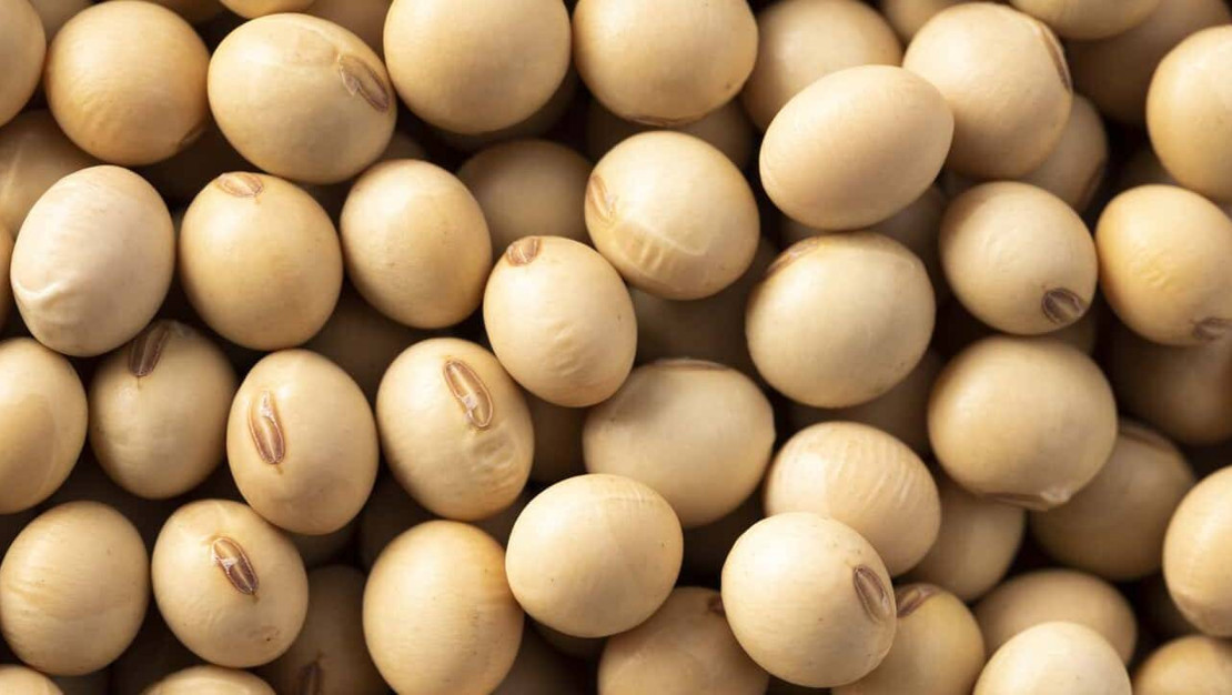 cin-abd-den-soya-fasulyesi-ithalatini-durdurdu