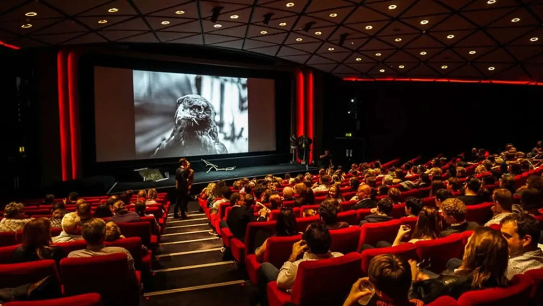 turkiye-genelinde-sinema-festivali-duzenlenecek