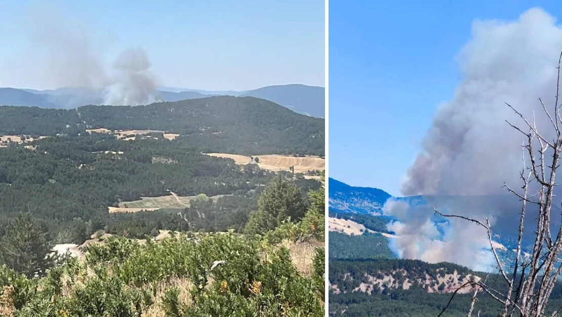 bolu-mersin-ve-aydin-da-yangin-cikti
