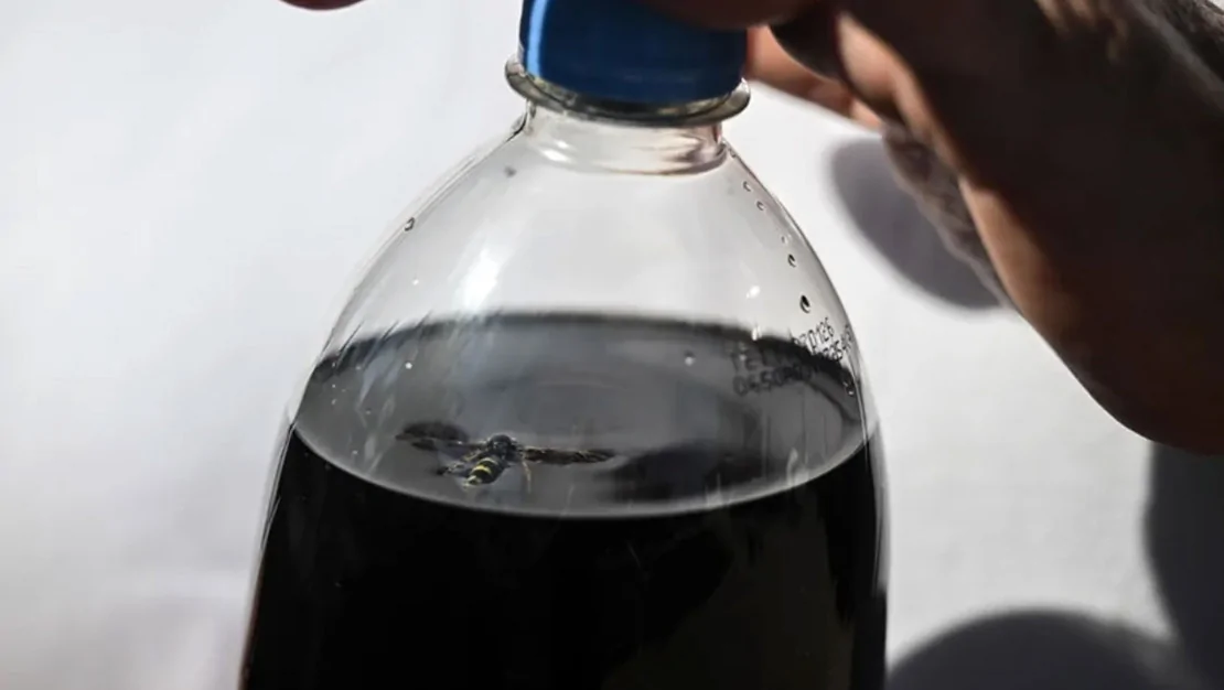 ankara-da-kola-ici-olu-ari-bulundu