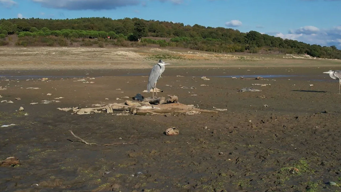 istanbul-daki-barajlarin-doluluk-orani-dususte