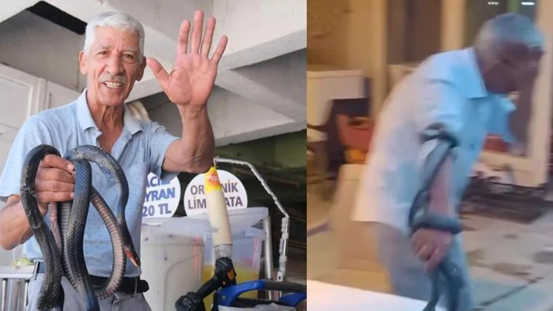 yilan-sovunda-isirilan-adam-onlara-ciger-kurbaga-yedirip-sut-iciriyorum