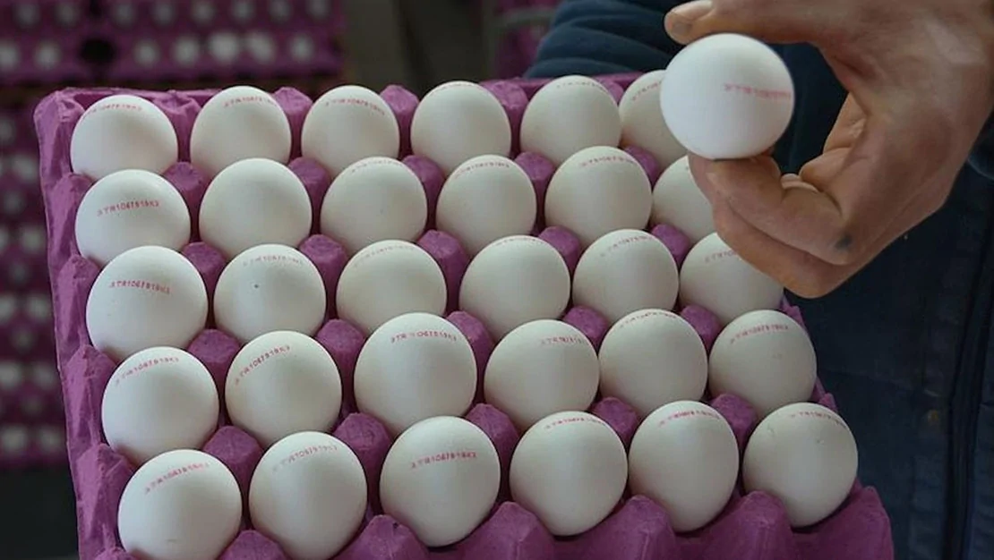 yumurta-fiyatlari-yukseldi-yeni-zam