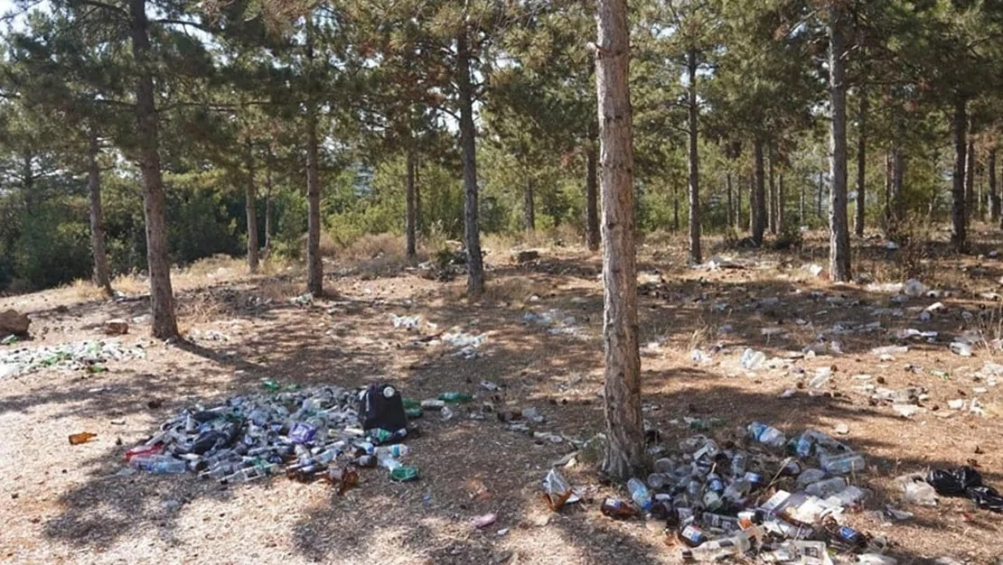 bilecik-yangin-riski-hakkinda-uyariyor