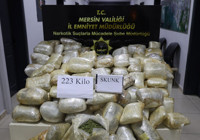 mersin-de-tir-da-223-kilogram-skunk-ele-gecirildi