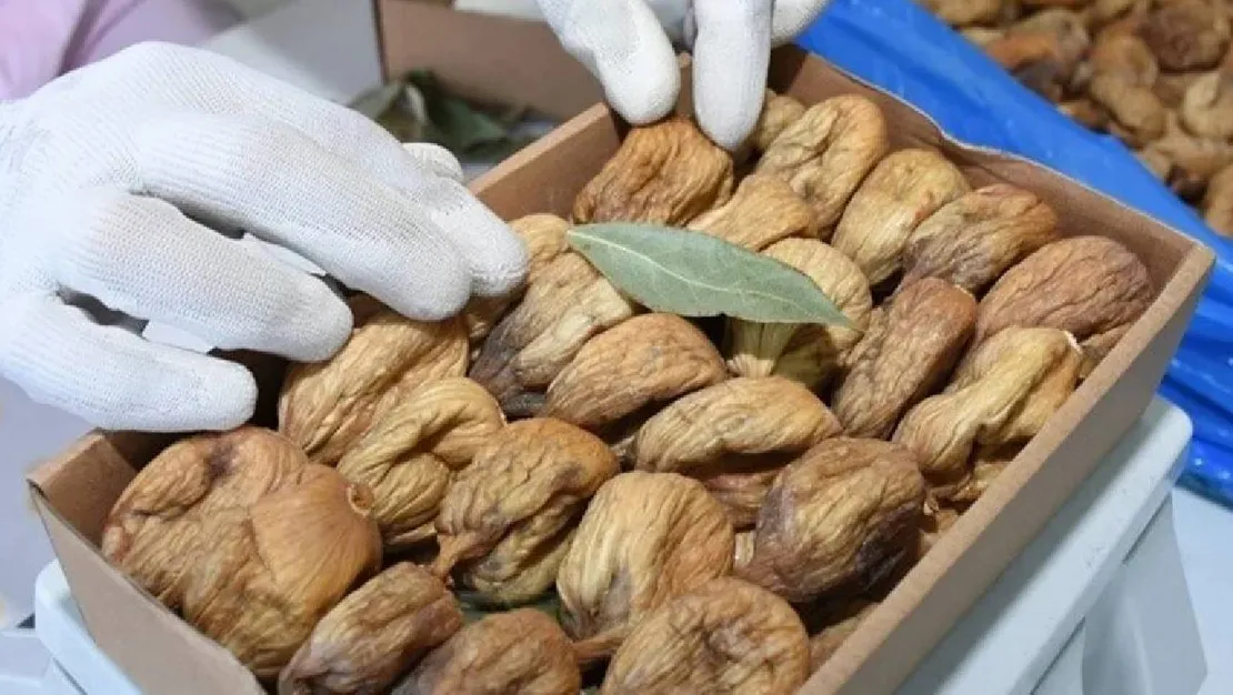 ihrac-urunlerinde-ilac-ve-bakteri-sorunu