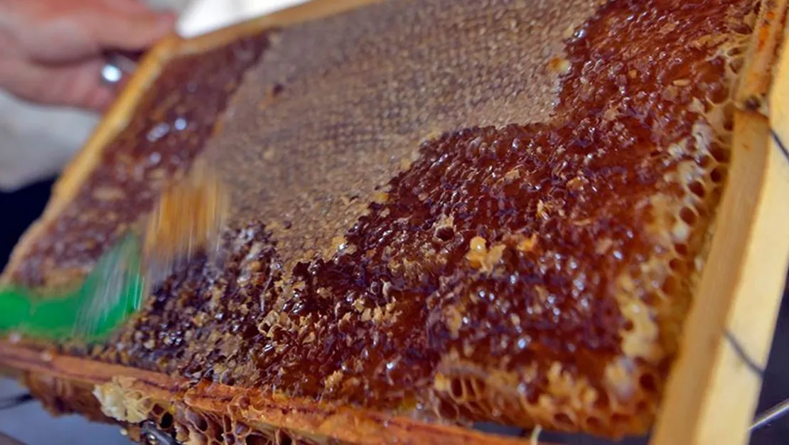 ardahan-cicek-bali-ab-tescili-icin-imzalandi