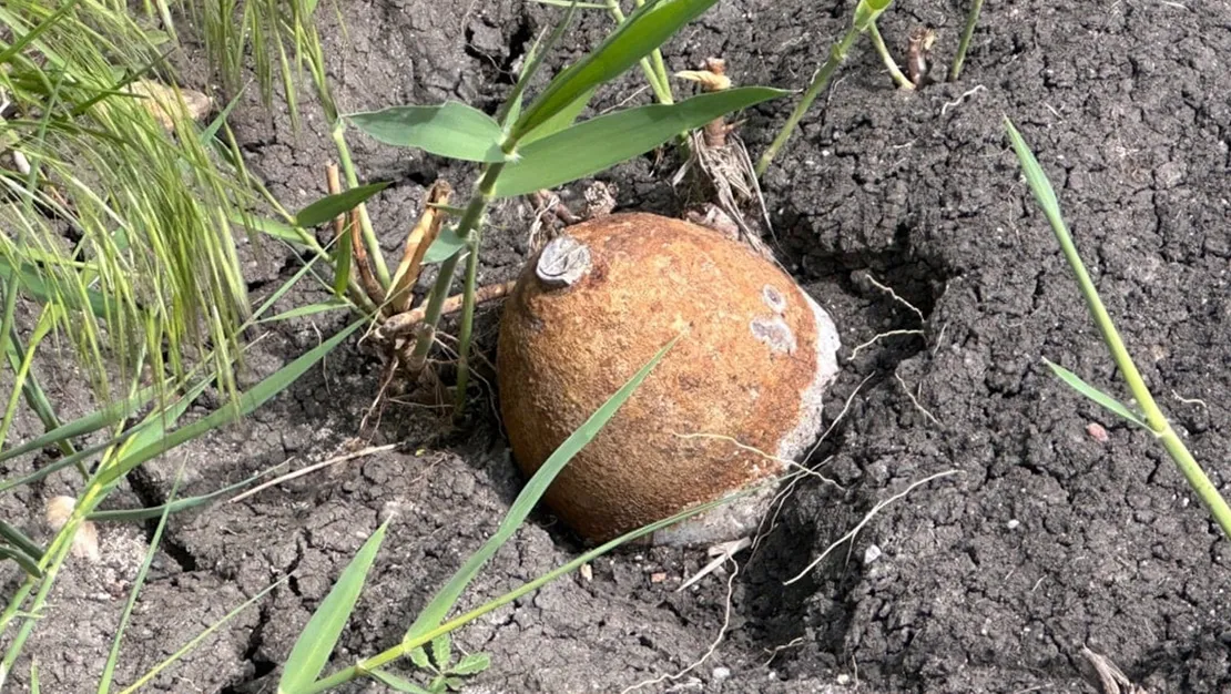 yenikadin-koyunde-mermi-bulundu