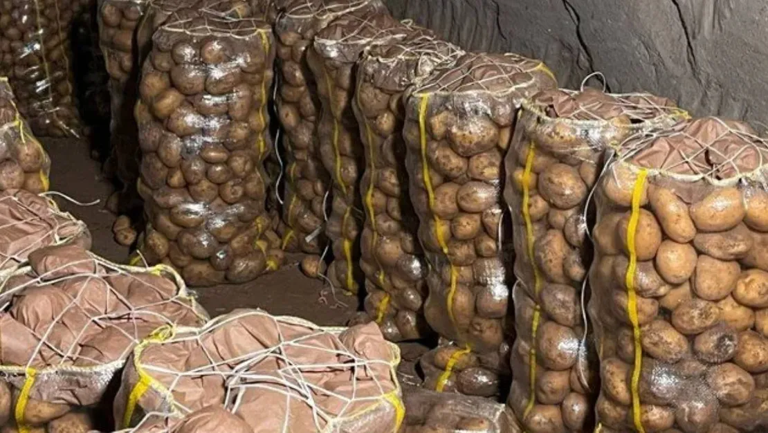 viruslu-patates-turkiye-ye-geldi