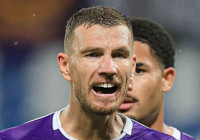 dzeko-schalke-04-ile-6-aylik-sozlesme-imzaladi