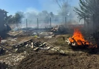 erdek-te-aniz-yangini-zeytin-agaclarini-tehdit-etti