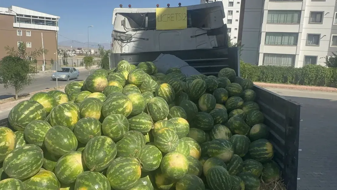 elazig-da-karpuzlar-ucretsiz-dagitildi