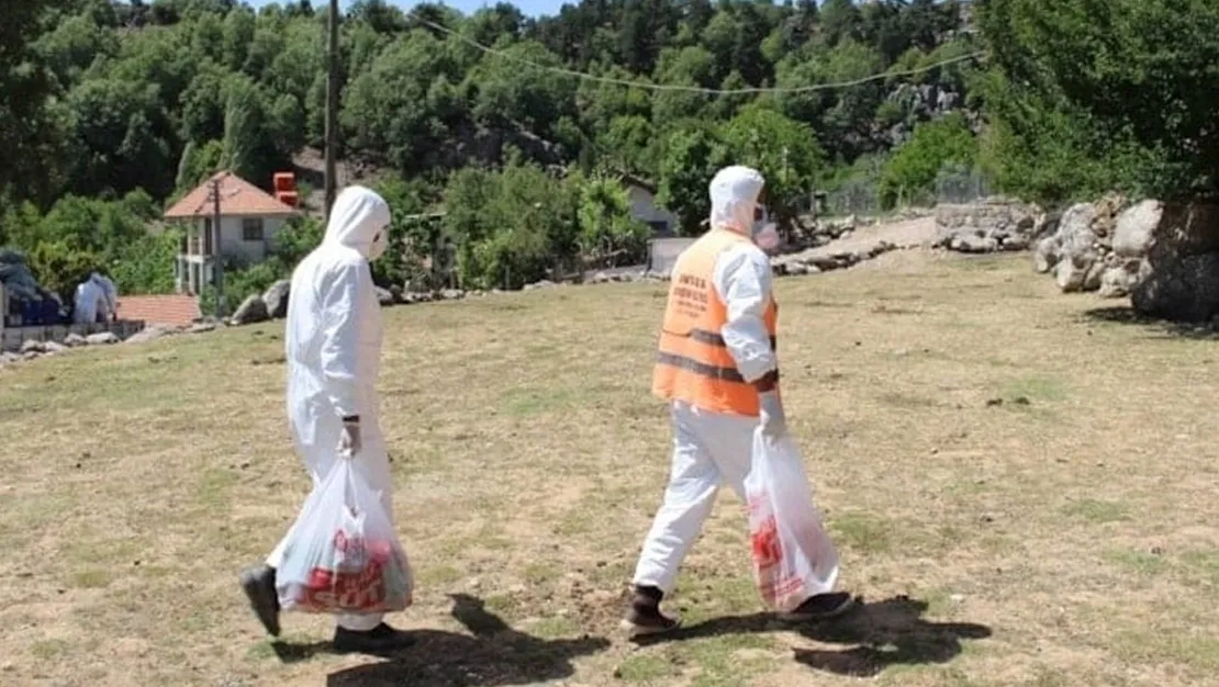 yunanistan-da-hayvan-hastaligi-sozu-gecti