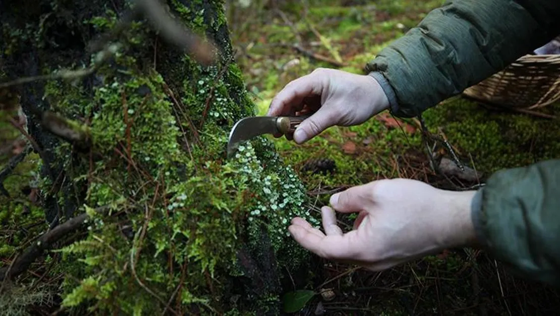 cocukluk-meraki-omer-ungor-u-mantar-uzmani-yapti