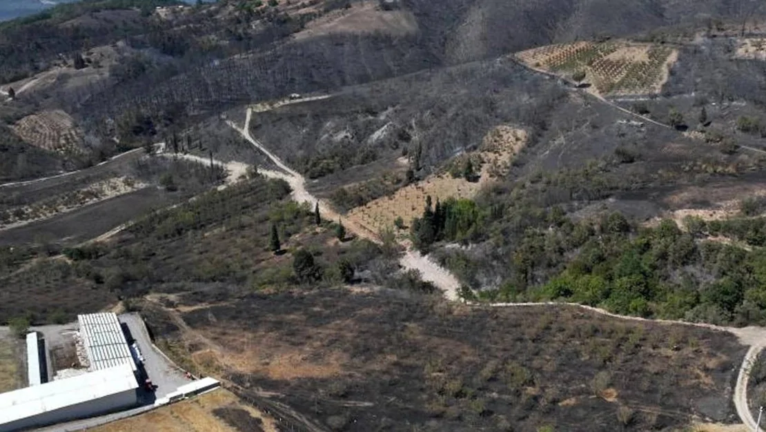 kocaeli-karamursel-orman-yangini-kontrol-altinda