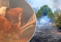 yangin-malatya-da-basladi-ve-buyudu