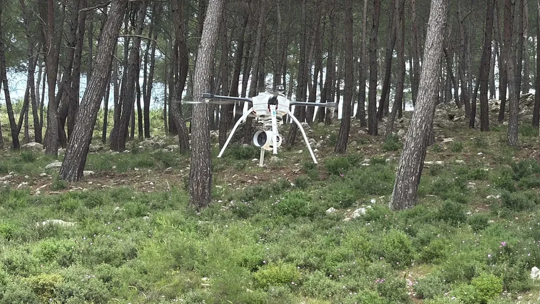 mugla-da-orman-yanginlari-icin-onlemler