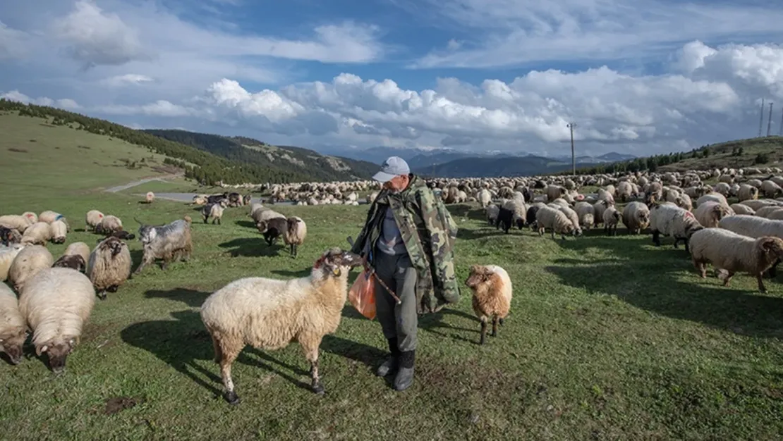 kucukbas-hayvan-ureticilerine-3-9-milyar-destegi