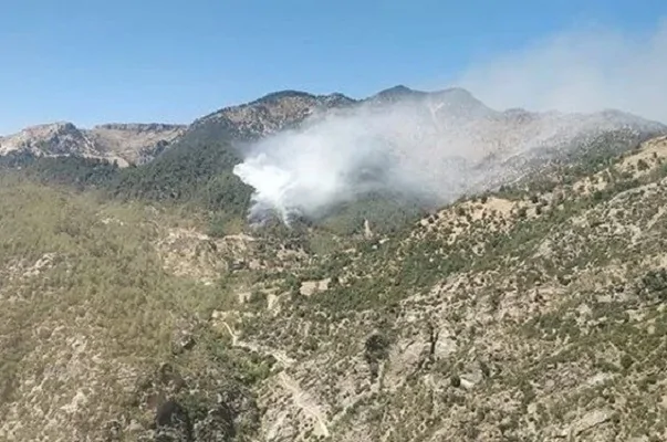 Kahramanmaraş’ta orman yangını Kahramanmaraş'ta orman yangını