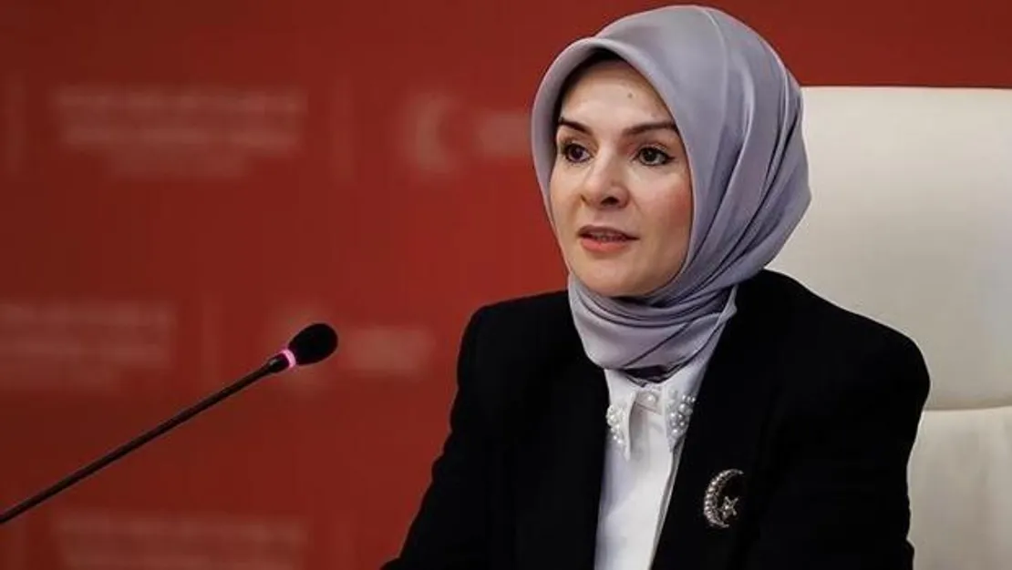 bakan-goktas-kizilay-dunya-capinda-ornek