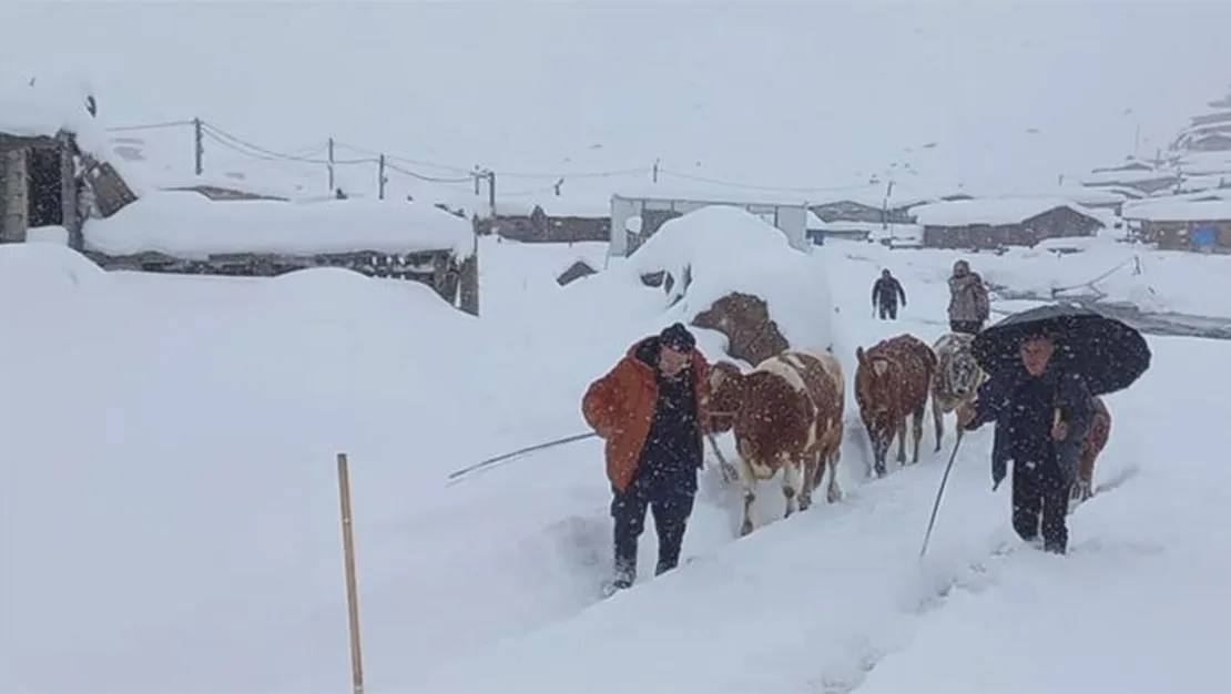 kar-yagisiyle-beyazlanan-dogu-karadeniz