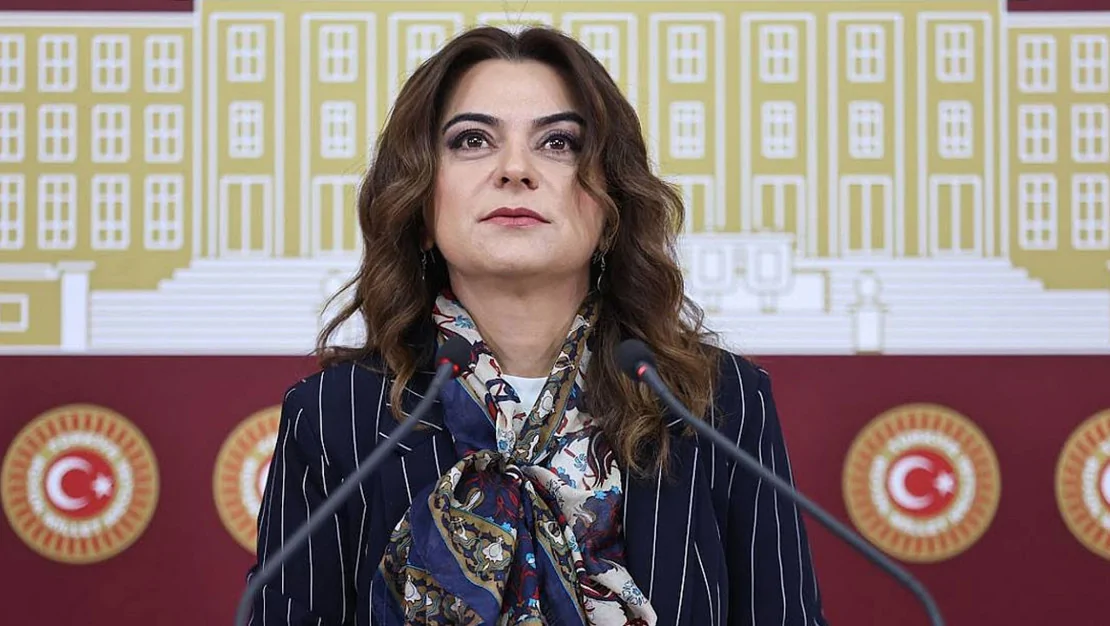 gulistan-kilic-kocyigit-komisyon-hizla-imrali-ya-gitmeli