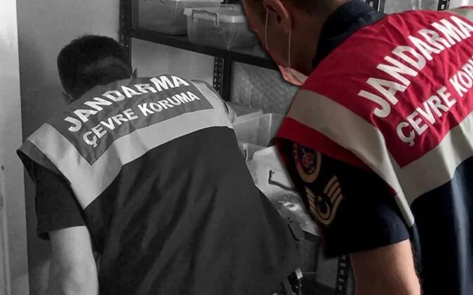 İstanbul’da hayvan kaçakçılığı operasyonu İstanbul'da hayvan kaçakçılığı operasyonu