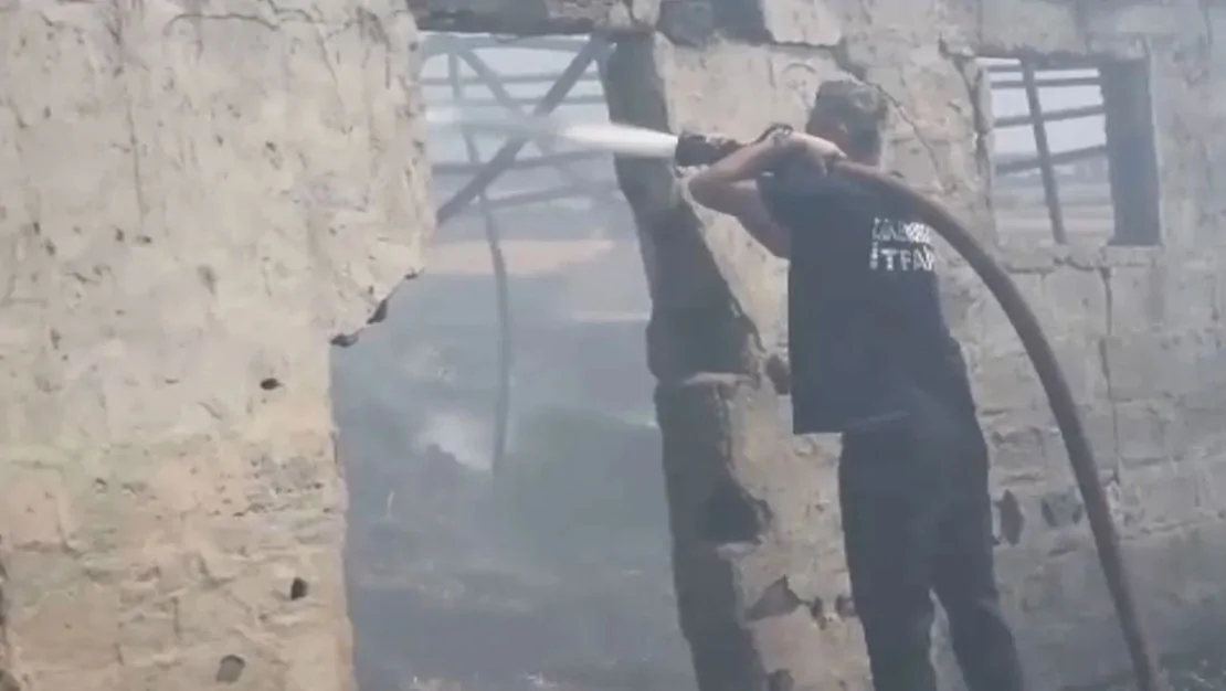 ceylankoy-de-yanginda-20-hayvan-telef-oldu