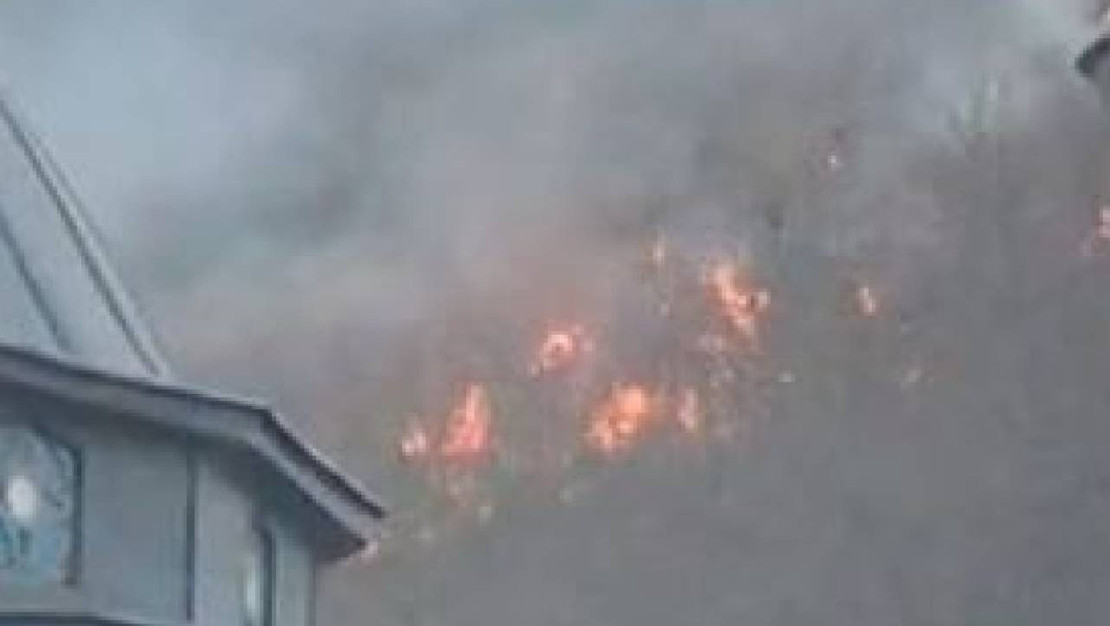 findik-bahcesindeki-aniz-yangini-can-aldi