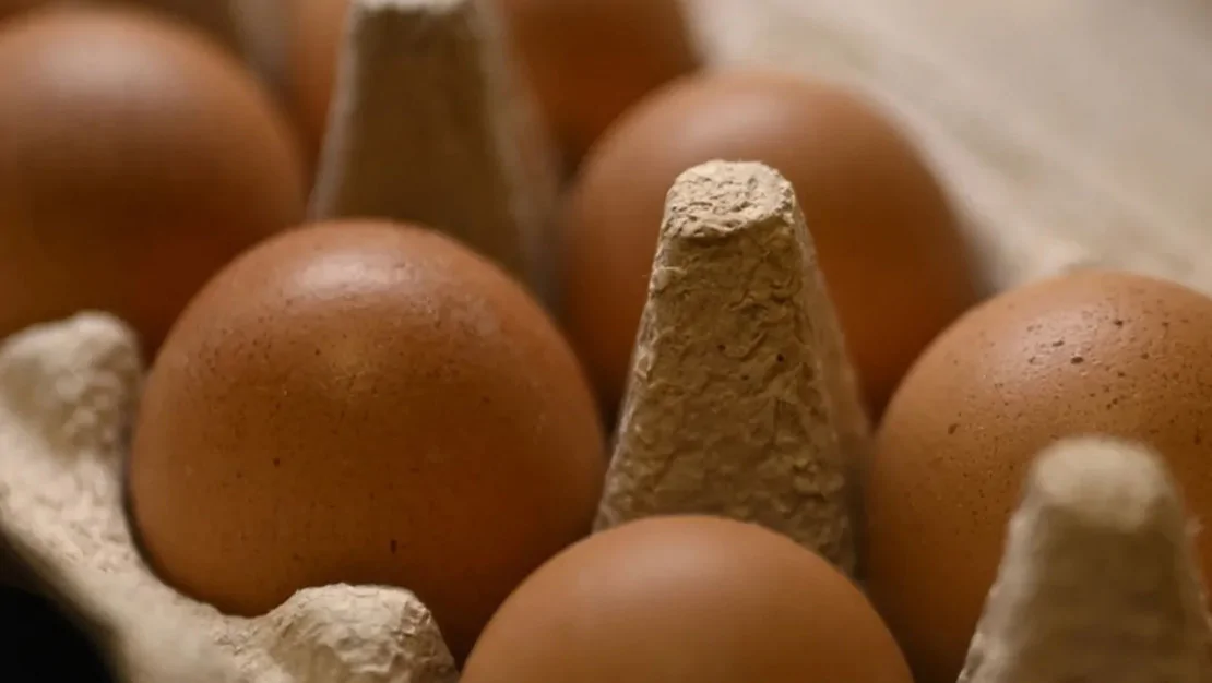 yumurtaya-kayyum-atandi