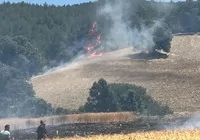 yangin-gediz-ormanina-sicradi