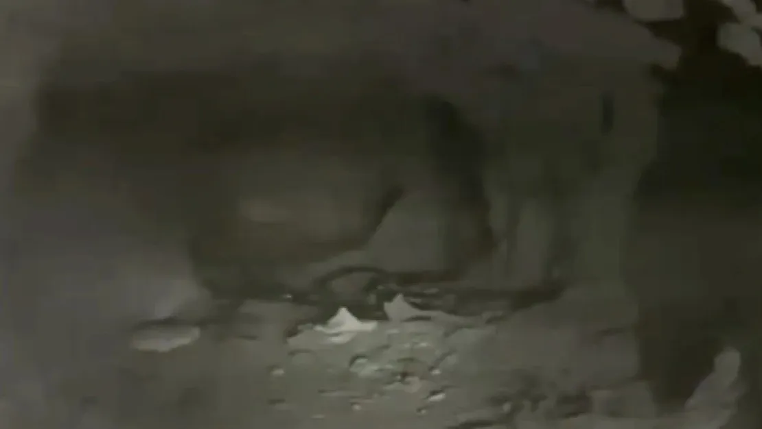 harekat-bolgesinde-terorist-magarasi-bulundu