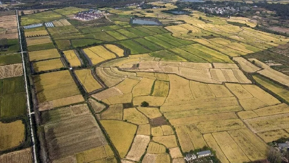 arsa-alacaklar-dikkat-yargitay-emsal-karar-verdi