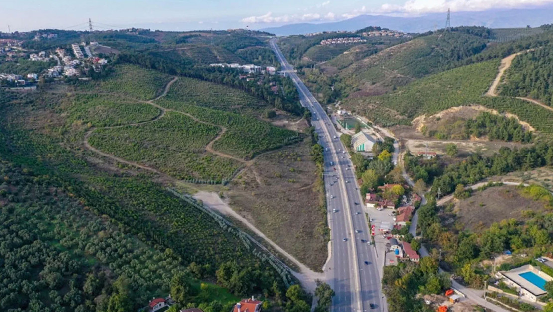 bursa-orman-yanginlari-sonrasi-yesillendirme-calismasi