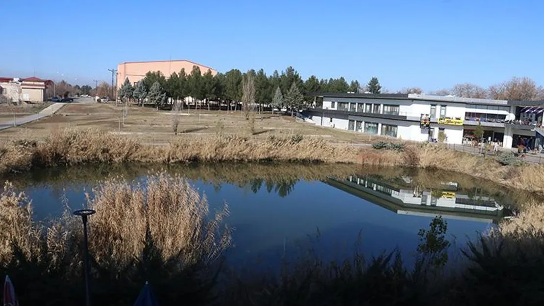 diyarbakir-da-gocmen-sican-tehlikesi