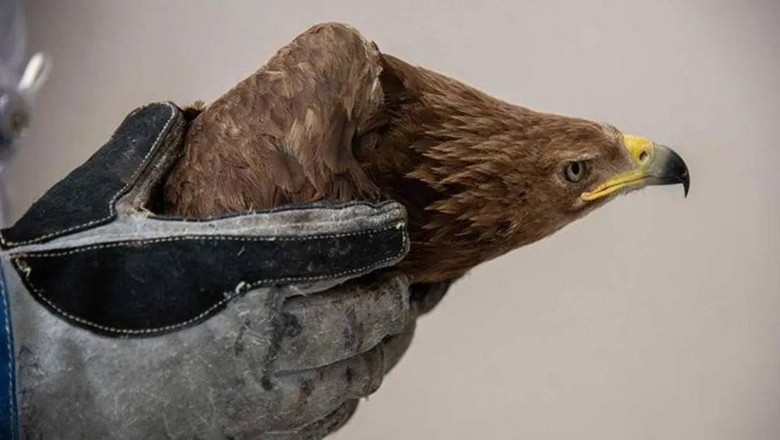 ege-deki-depremler-volkanik-faaliyeti-isaret-ediyor