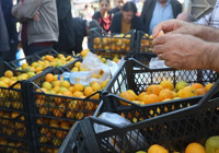 hatay-da-mandalina-fiyatlari-duserken-ureticiler-ucretsiz-dagitim-yapti