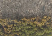 havadan-alevler-goruntulendi