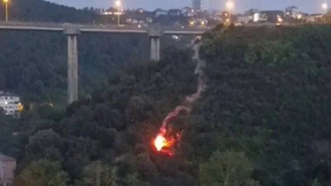 beykoz-da-orman-yangini-fisek-atildi