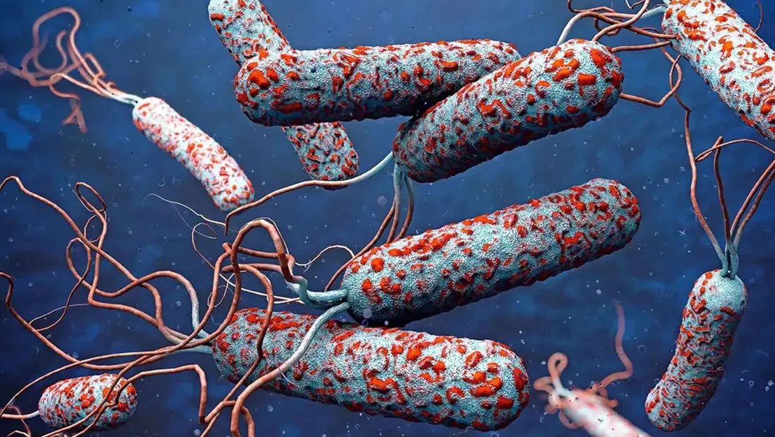 31-ulkede-kolera-salgini-var