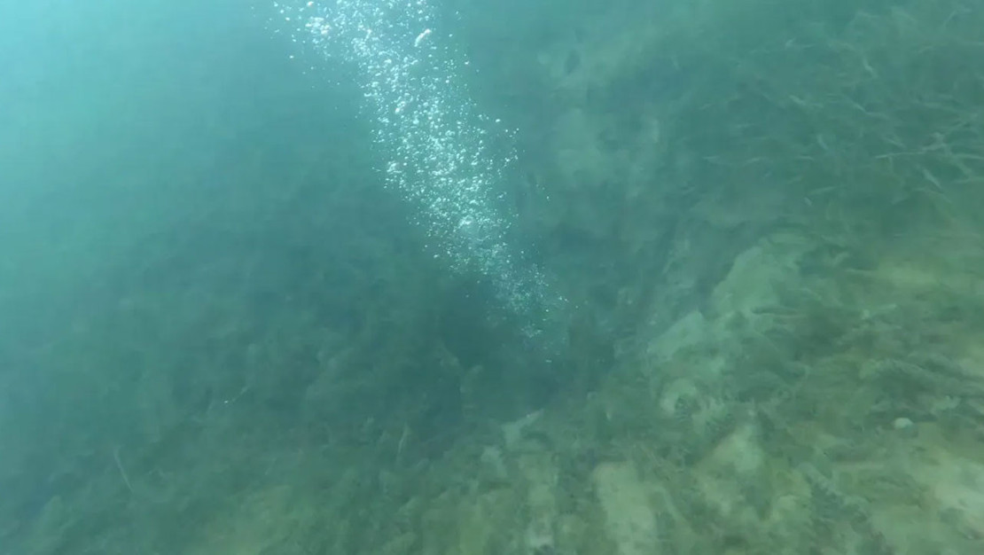 sapanca-golu-nde-kabarciklar-panige-neden-oldu-uzman-acikliyor