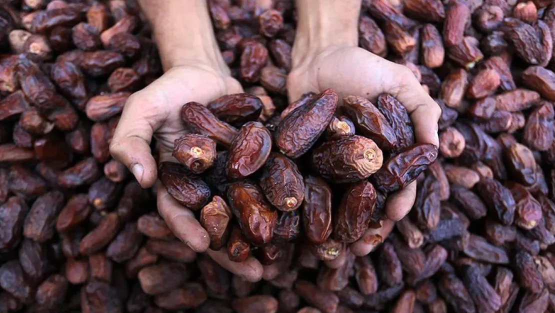 hurma-fiyatlarinda-ramazan-oncesi-yuzde-30-zam