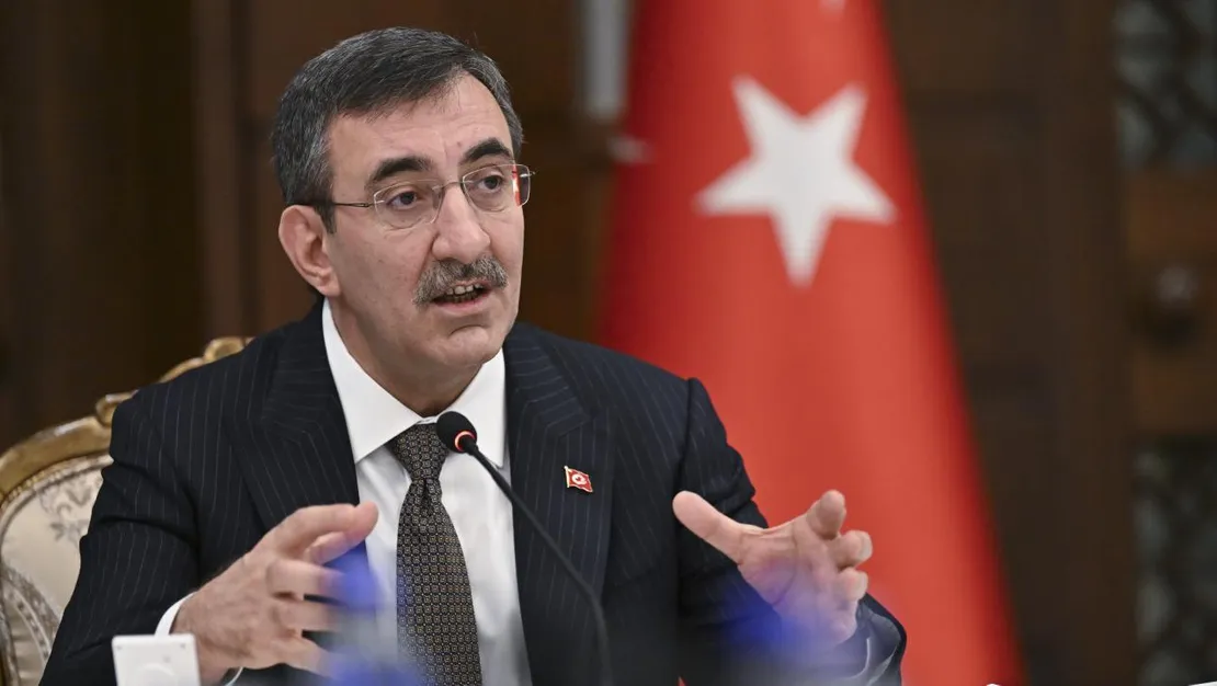 tek-haneli-enflasyona-kararlilikla-ulasacagiz