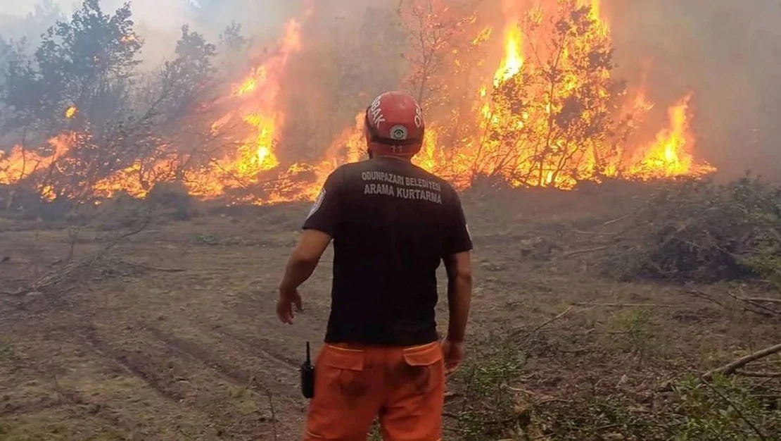 sehitlerin-kimlikleri-aciklandi