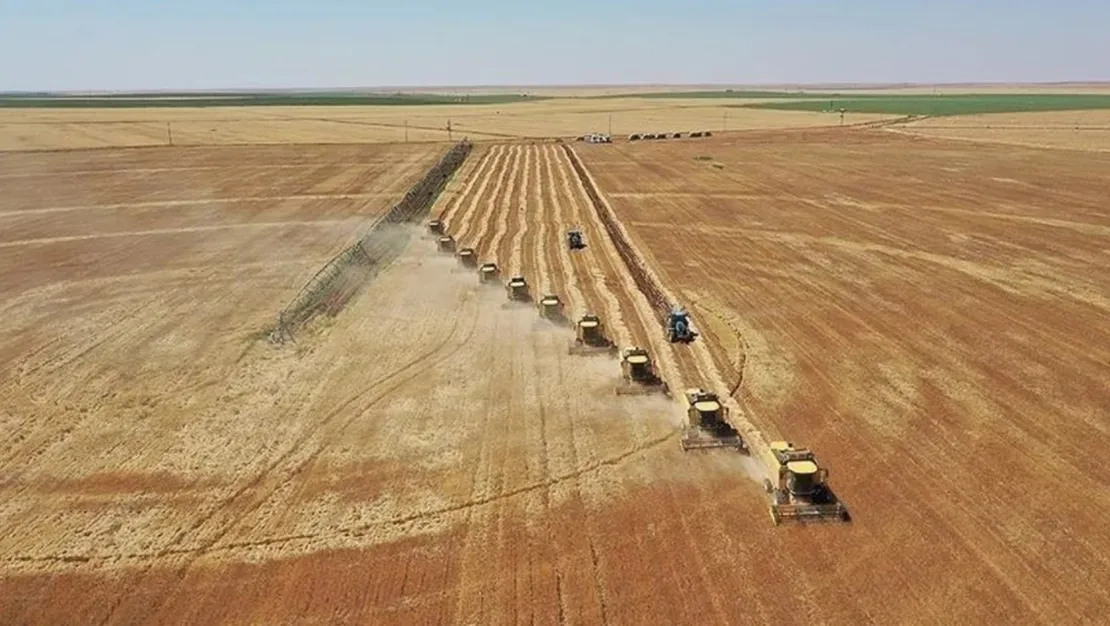 kirsal-kalkinma-icin-279-milyon-destek-odemesi