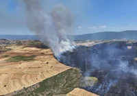 bugday-arazisinde-yangin-250-dekar-zarar