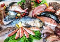 en-yuksek-proteinli-balik-turleri-hakkinda-bilgi