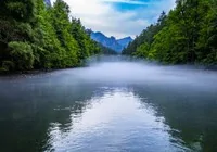 turkiye-de-iki-ilde-bulunan-sigla-ormani